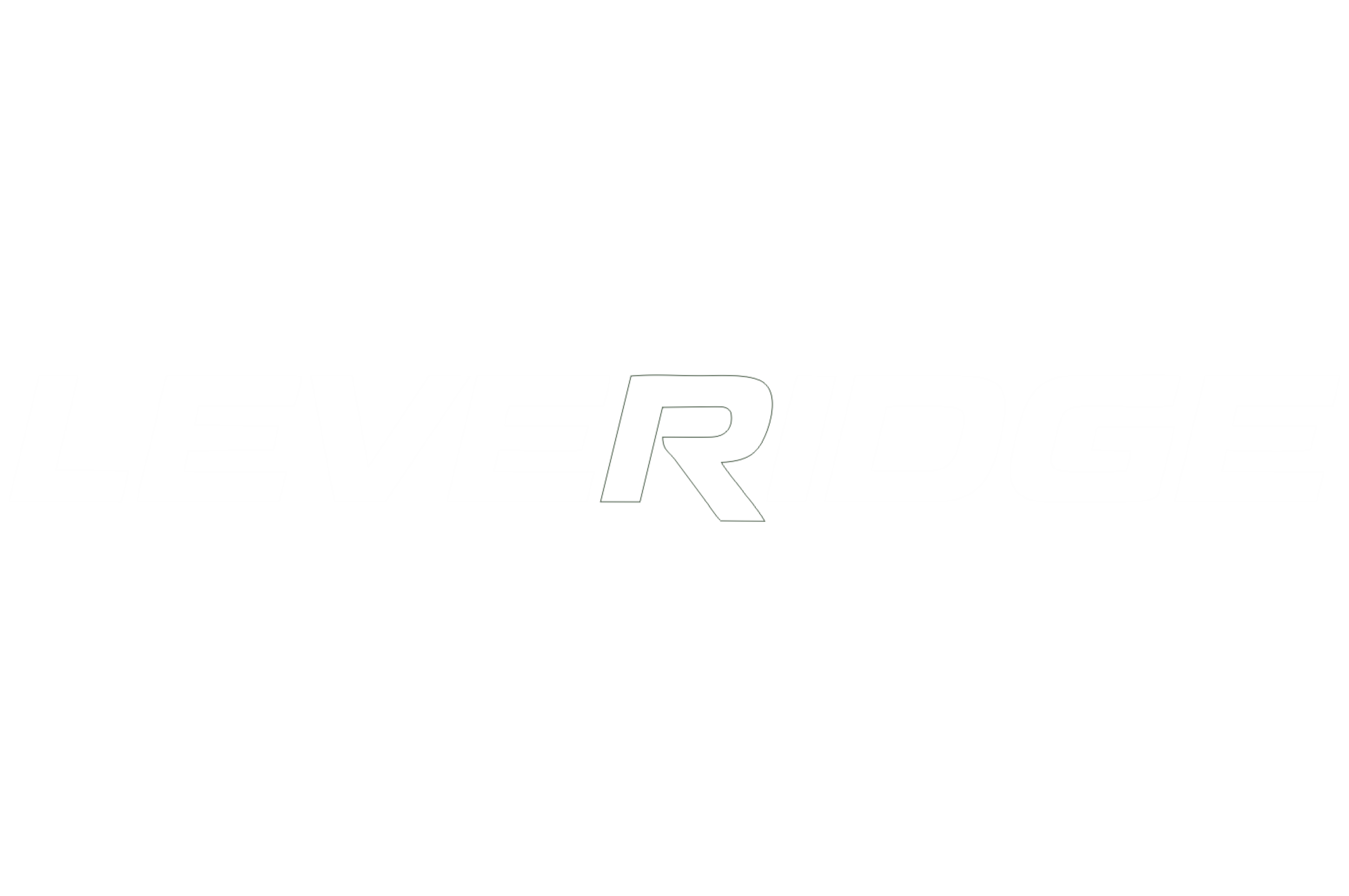 Leveridge Logo